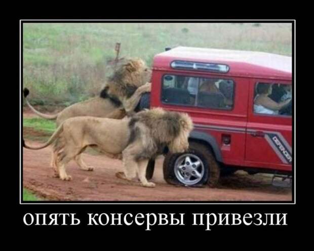 Демотиваторы (30 фото)