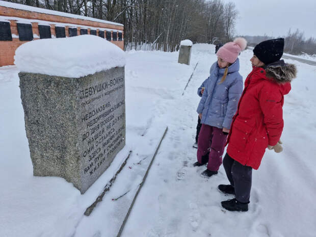 photo_2026-02-09_01-36-49 (5).jpg