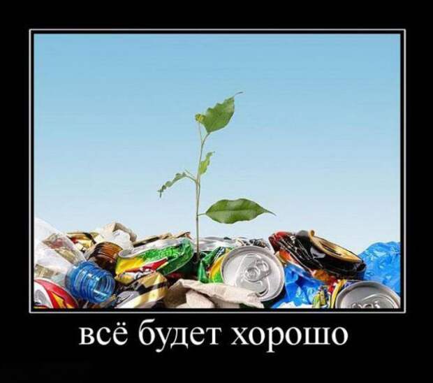 Смешные картинки, демотиваторы дня