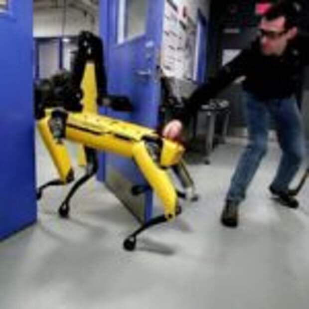 Робот Boston Dynamics оказал сопротивление человеку  
