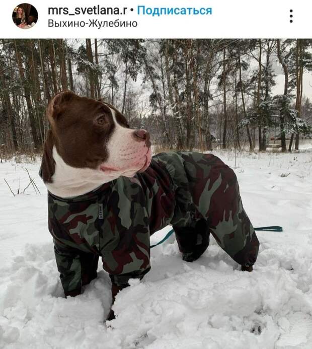 Фото дня: к зиме готов