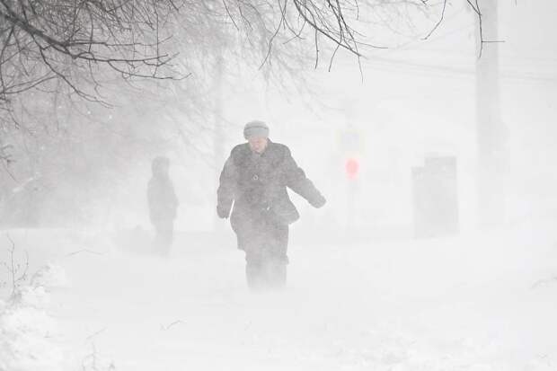 Москвичам рассказали о погоде на следующей неделе