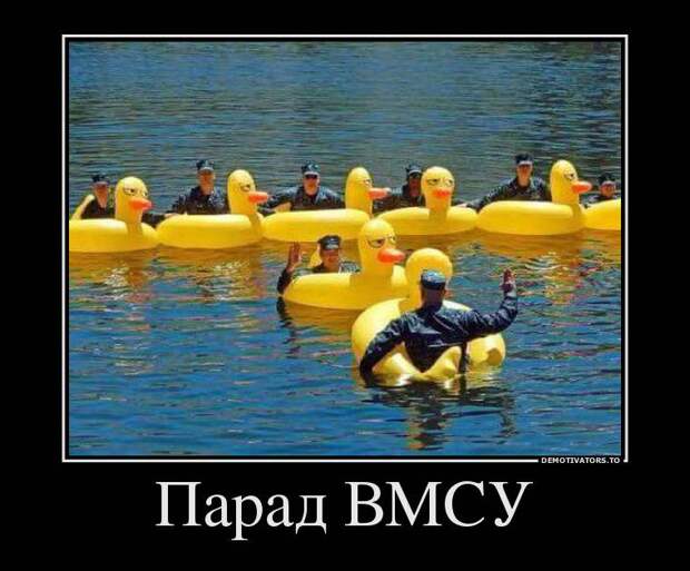 1502309053_28942_parad-vmsu_demotivators