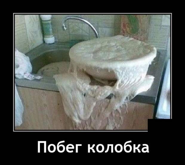 Демотиватор про Колобка