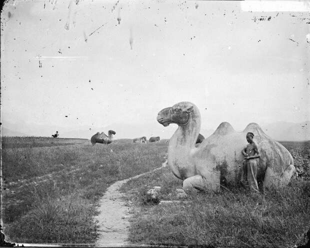 Дорога духов гробниц династии Мин с каменными фигурами животных и людей. Дорога духов гробниц династии Мин с каменными фигурами животных и людей. исторические фото, история, китай