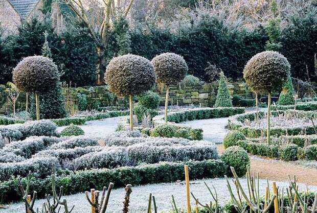 Деревья с шаровидными кронами структурируют садовый пейзаж во все времена года