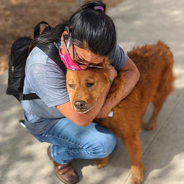 Фото © Facebook / City of San Antonio Animal Care Services