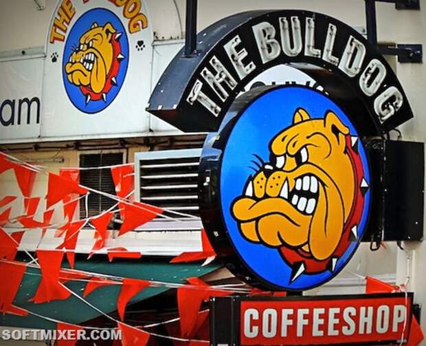 The_Bulldog_Amsterdam