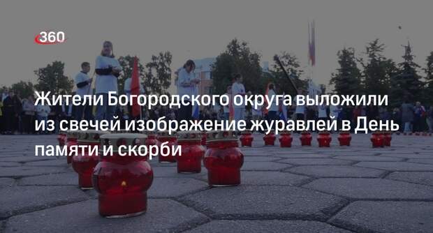 Жители Богородского округа выложили из свечей изображение журавлей в День памяти и скорби