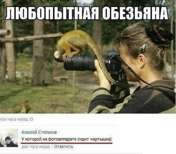 Новый сборник смешных комментариев из соцсетей (31 фото)