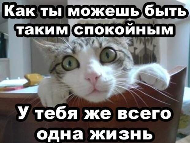 Всяко - разно 9  )))