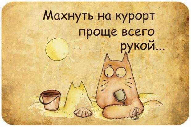 Прикольные фразочки в картинках