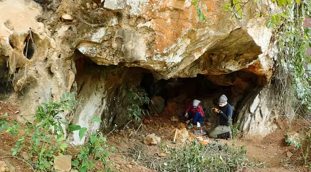 «Эволюция органического мира»: российский палеонтолог — о страусах-гигантах, динозаврах и пещерных гиенах в Крыму