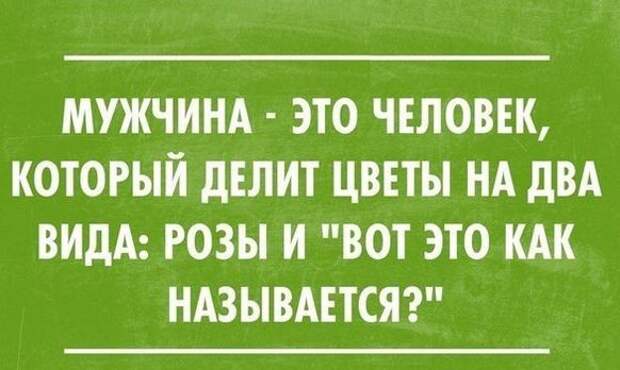 Картинки со смешными подписями картинки, юмор, прикол