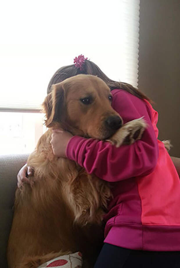 Pets Really Don’t Enjoy Visits to the Vet