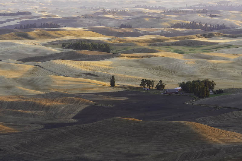 Холмы Palouse, США Palouse 9 Изумрудные холмы Палуз