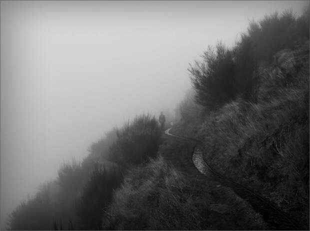 495 100 изумительных фотографий тумана (часть 2)