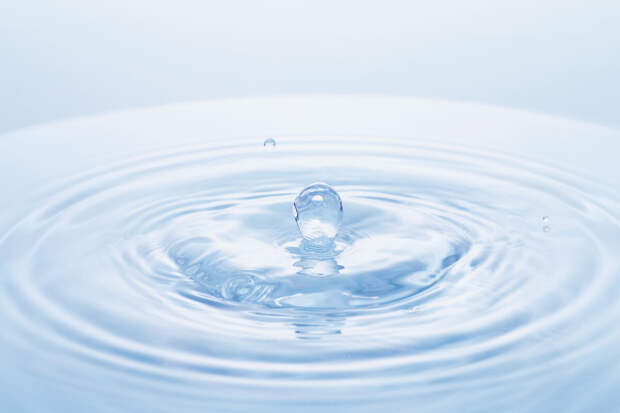 STE: в бутилированной воде больше микропластика, чем в водопроводной