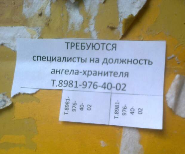 25 гениальных объявлений 2014 года объявления, смешно
