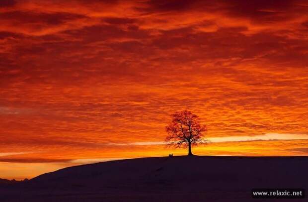 nature_004