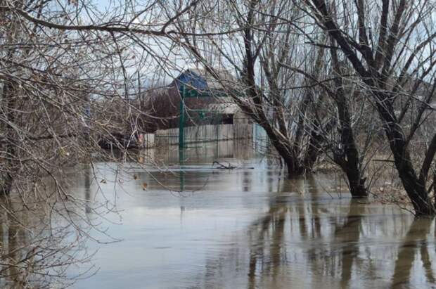 Уровень воды в реке Тобол у Кургана начал снижаться