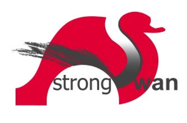 The 5 Best Open-Source VPNs for Linux and Windows Open Source VPN strongSwan