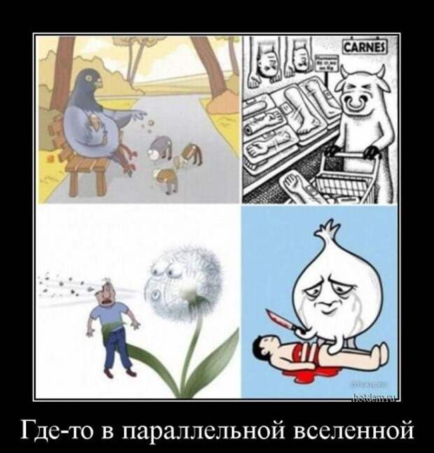 Свежий сборник демотиваторов-приколов (18 шт)