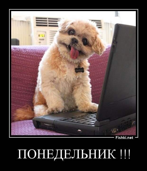 Снова демотиваторы!