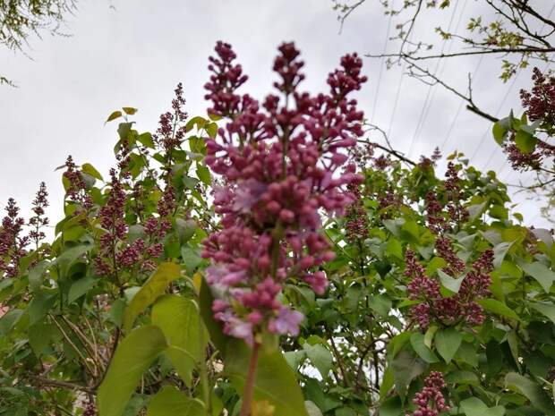 Погода в Астрахани идет на поправку