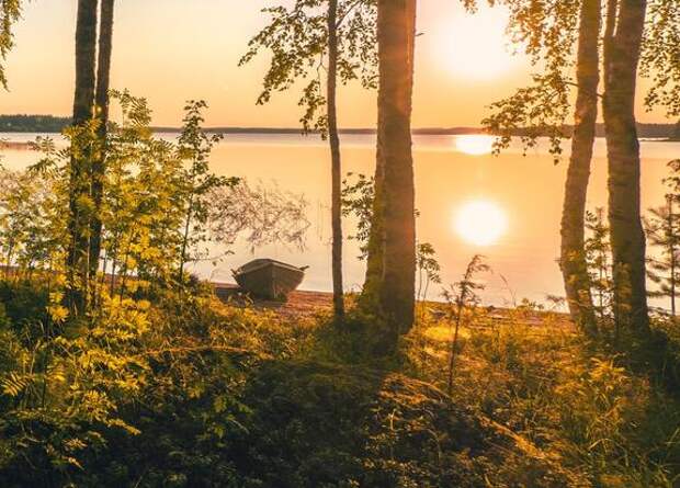 HS: в Финляндии военные договариваются с владельцами земли у российской границы