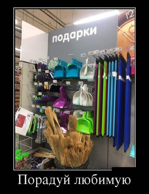 Демотиваторы (30 фото)