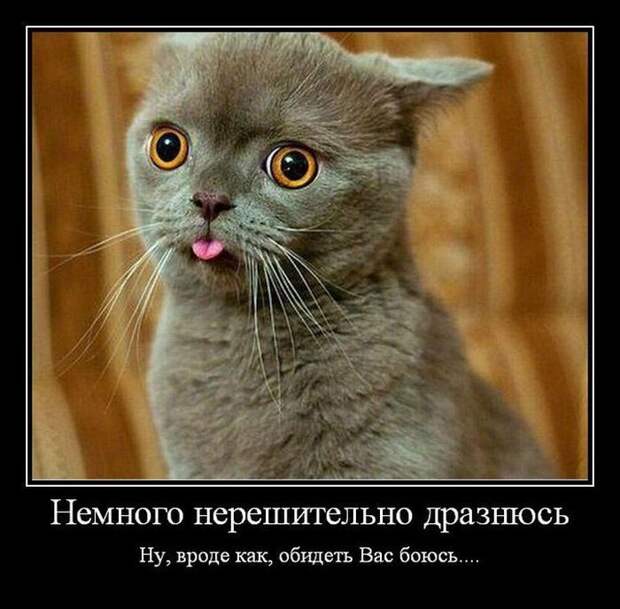 Развесёлые демотиваторы!