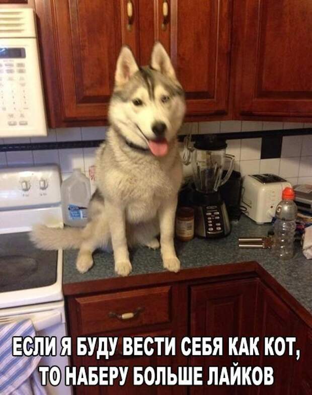 GBXQCS2PbDk