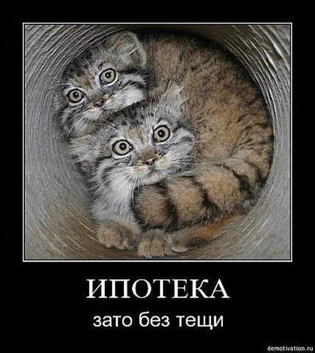 Развесёлые демотиваторы!