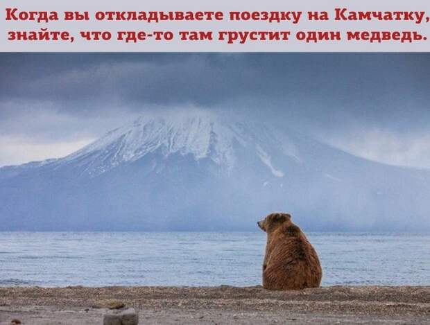 www.vsyako.net