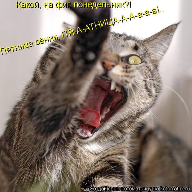 Какой, на фиг, понедельник?! Пятница сённи, ПЯ-А-АТНИЦА-А-А-а-а-а!..