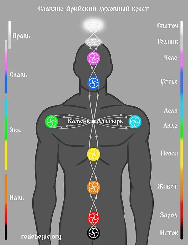 12 чакр человека в картинках