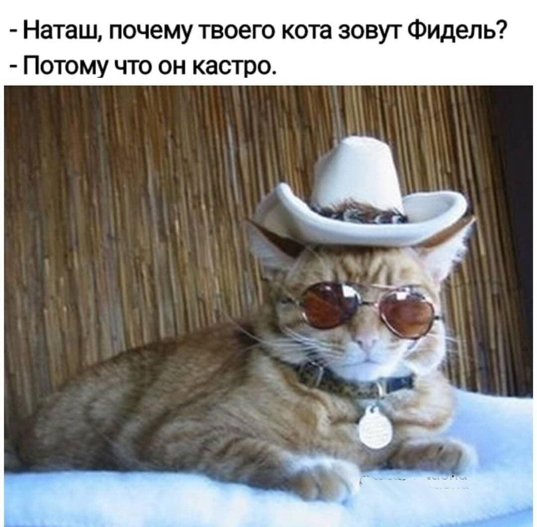 Есть особый тип мероприятий, я их называю Есть особый тип мероприятий, я их называю