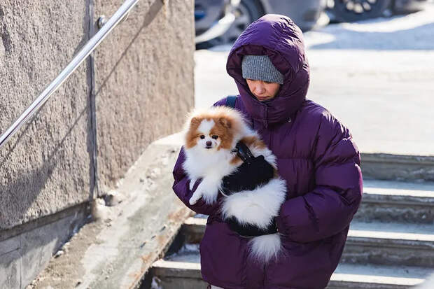 Оттепель до 0 и волна холода 8 марта: синоптики сообщили о погоде в Новосибирске