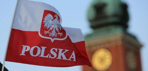 Признание Протасевича спровоцировало неожиданную реакцию в Польше