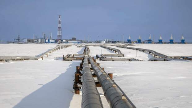 Путин заявил о необходимости проработки «газового союза» с Узбекистаном и Казахстаном