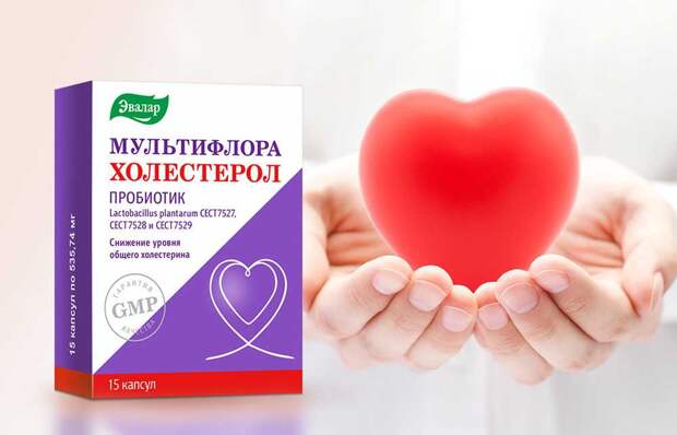 «Автомагистрали» организма. Как поддерживать здоровье сосудов сегодня?