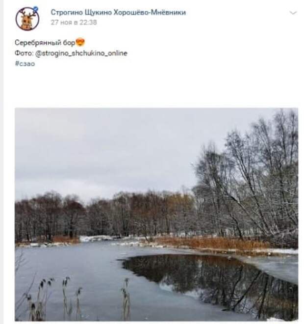 Фото дня: морозное утро в Серебряном Бору