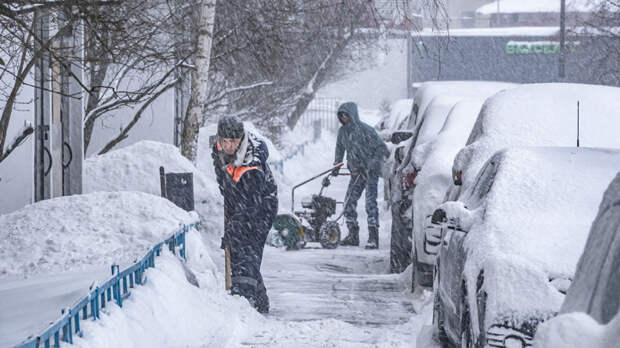 В Москве высота снежного покрова может вырасти до 25 см к 5 января