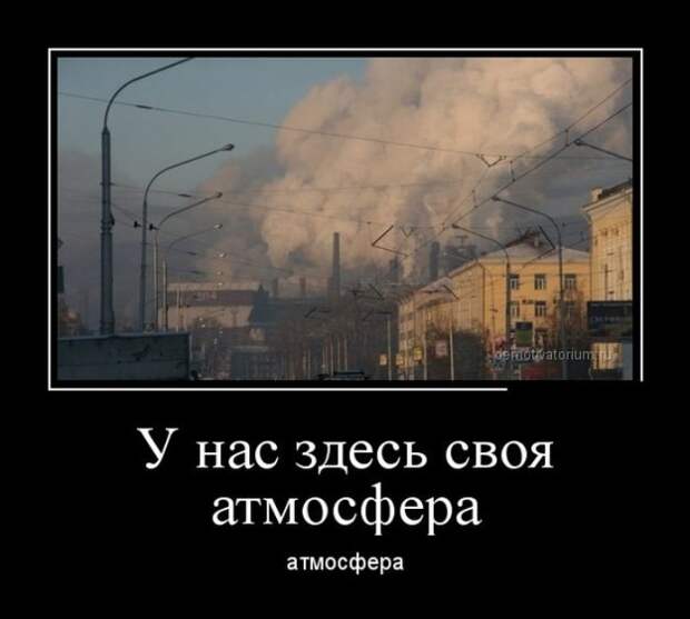 Демотиваторы