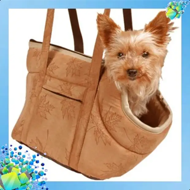 Выбираем сумки-переноски для собак