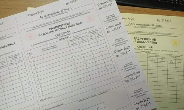 Сезон весенней охоты в Поморье стартует 1 мая: названы сроки и нормы добычи дичи