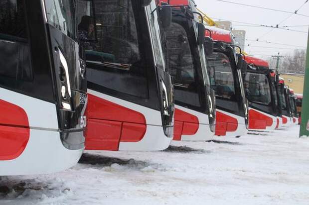 Петербург второй год подряд лидирует в безопасности пассажирских перевозок