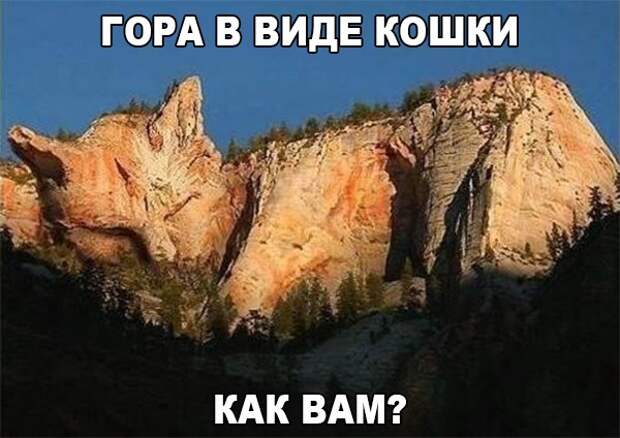 Веселые картинки с надписями для настроения (10 фото) Веселые картинки с надписями для настроения (10 фото)