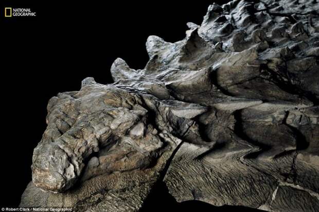 Эта 110-миллионолетняя окаменелость динозавра выглядит как статуя динозавр, статуя